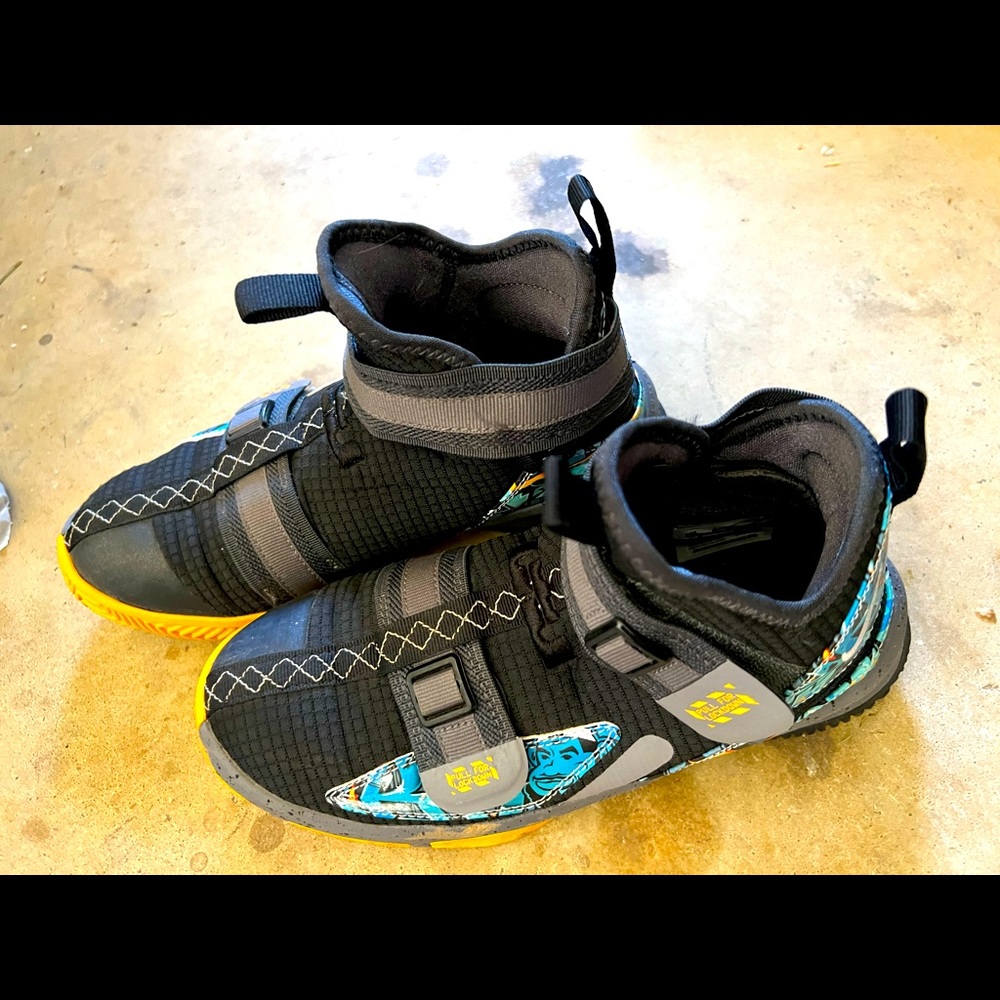 Nike LeBron zip close basketball shoes